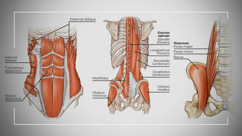 Cơ lõi là cơ gì? 5 bài tập Pilates giúp tăng cường cơ lõi hiệu quả